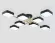 Потолочная люстра Ambrella Light Linetech Comfort FL516348, 3000, 6000