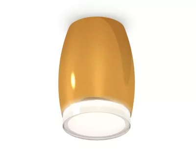 Накладной светильник Ambrella Light Techno XS1125021 (C1125, N7160)