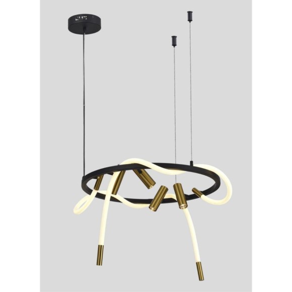 Подвесная светодиодная люстра Aployt Malgorzata APL.066.03.45