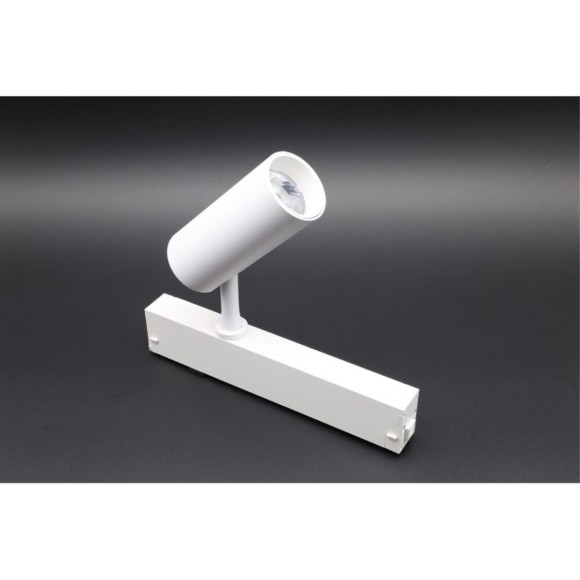 Трековый магнитный светильник Aployt Magnetic track 220 APL.0205.10.10