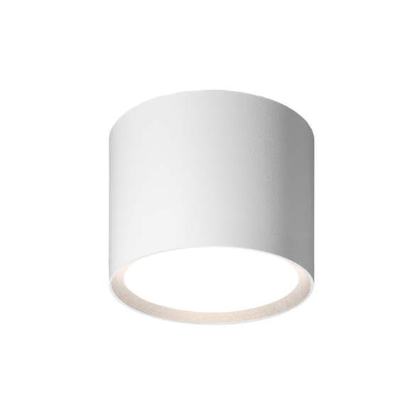 Накладной светильник Wolta Basic WSL-GX53/01W