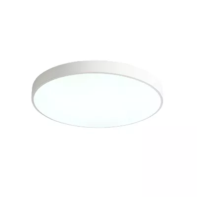 Потолочный светильник Zortes Tortty ZRS.02564.96