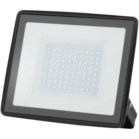 Прожектор Эра LPR-023-0-65K-100 Б0052026