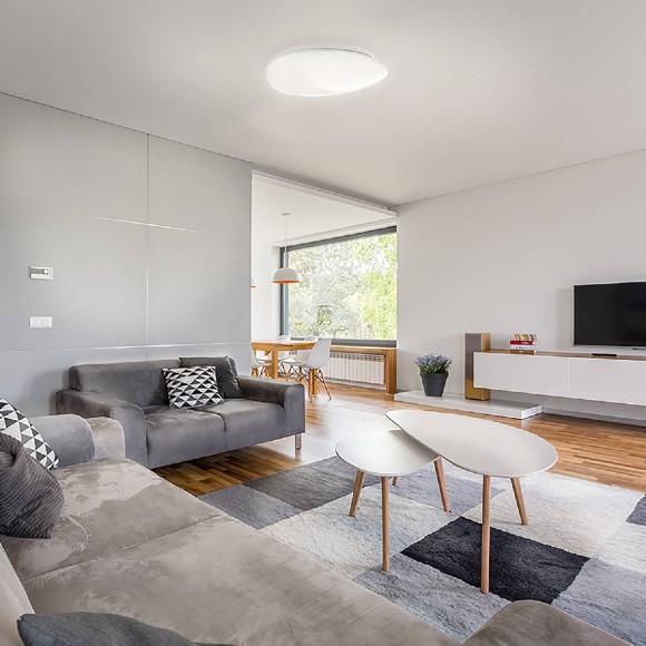 Настенно-потолочный светильник Gauss Basic Space Stone 995438260