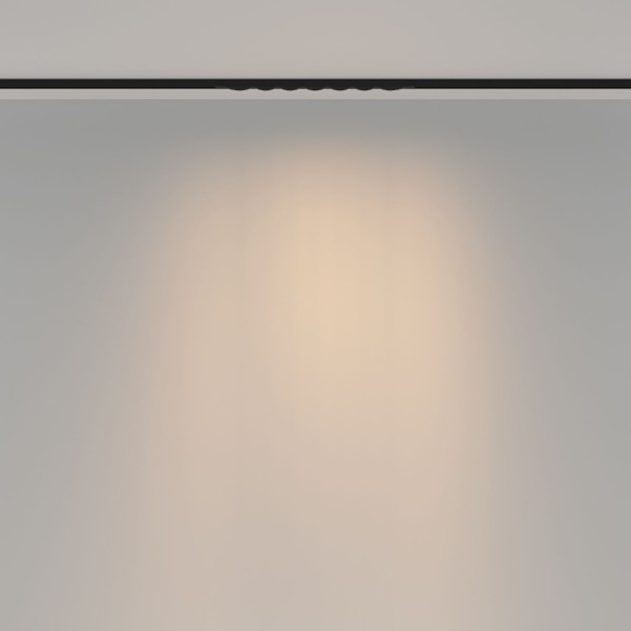 Трековый магнитный светильник Maytoni Spiky TR175-1-12WTW-M-B