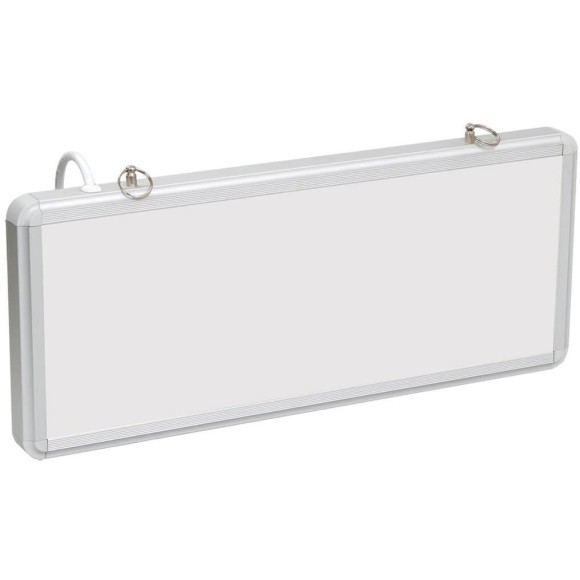 Аварийный светильник Эра SSA-101-0-20 Б0044387