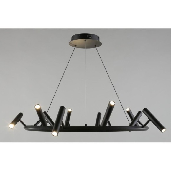 Подвесная светодиодная люстра Aployt Honor APL.067.03.50