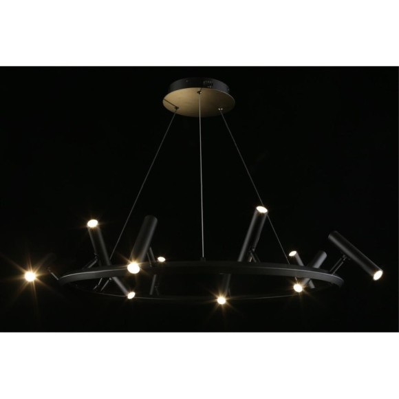 Подвесная светодиодная люстра Aployt Honor APL.067.03.50
