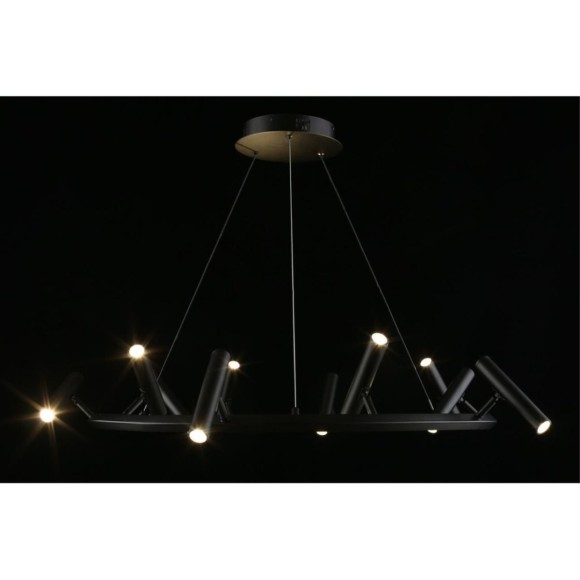 Подвесная светодиодная люстра Aployt Honor APL.067.03.50