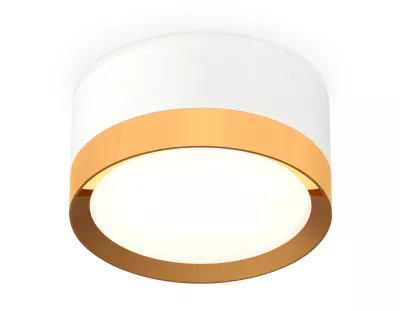 Потолочный светильник Ambrella Light Techno Spot XS8101005 (C8101, N8124)