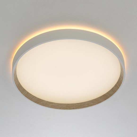 Потолочный светильник Citilux Etalon CL750320R