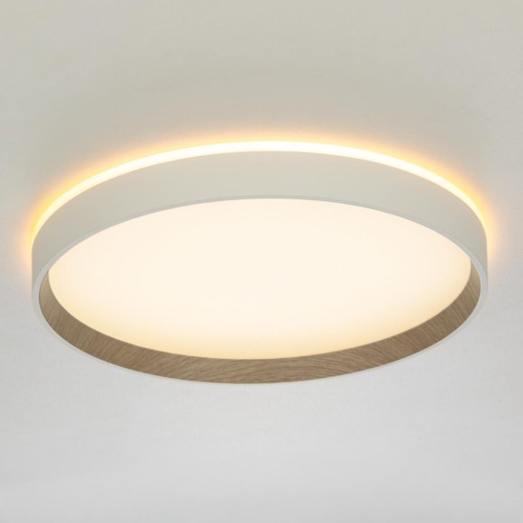 Потолочный светильник Citilux Etalon CL750320R