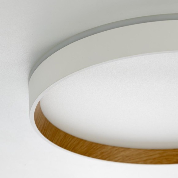 Потолочный светильник Citilux Etalon CL750320R