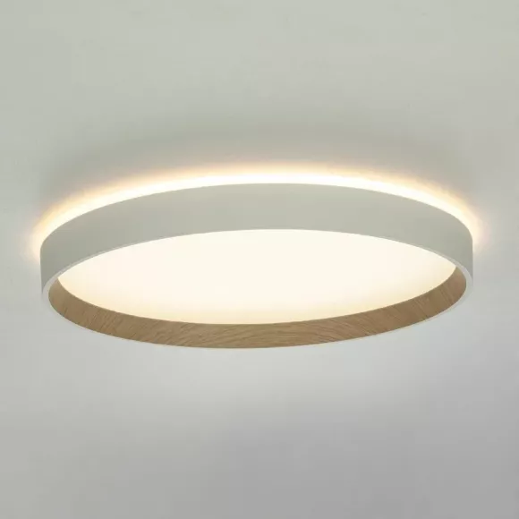 Накладной светильник Citilux Etalon CL750320R