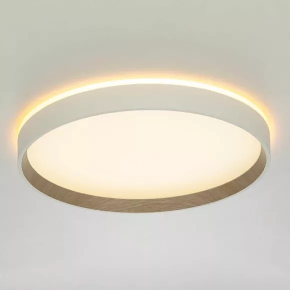 Накладной светильник Citilux Etalon CL750320R