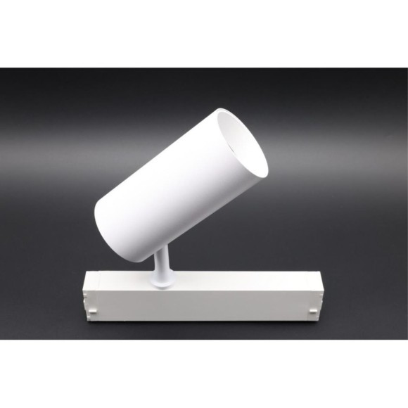 Трековый магнитный светильник Aployt Magnetic track 220 APL.0205.10.20