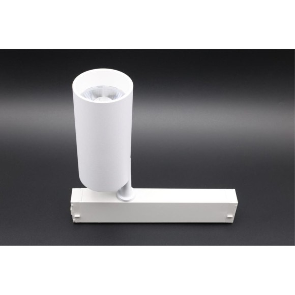 Трековый магнитный светильник Aployt Magnetic track 220 APL.0205.10.20