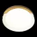 Потолочный светильник Loft IT Coin 10198 White, 4000, Нейтральный белый, Модерн