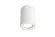 Потолочный светильник Crystal Lux CLT 422C WH