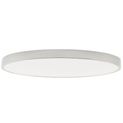 Потолочный светильник Zortes Tortty ZRS.02565.120