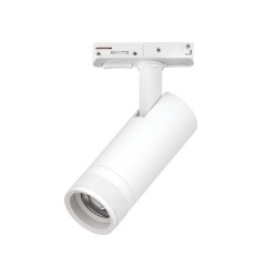 Трековый светильник для однофазного/трехфазного шинопровода Barra 20-55G с тонким адаптером Lightstar Canno Pro C4126SS