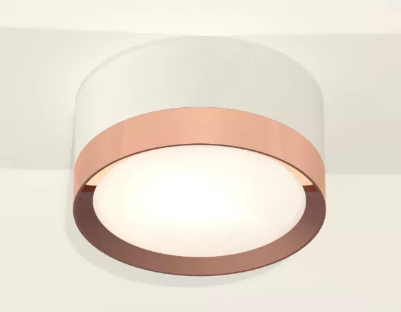 Потолочный светильник Ambrella Light Techno Spot XS8101006 (C8101, N8126)