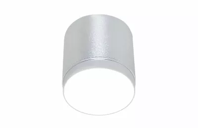 Накладной светильник Maytoni Polar C088CL-GX53-S