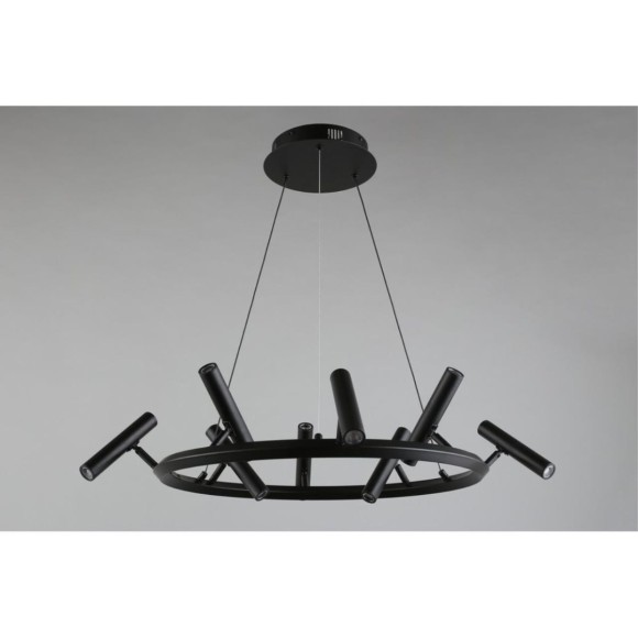 Подвесная светодиодная люстра Aployt Honor APL.067.03.40