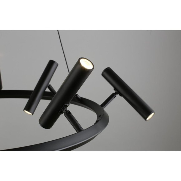 Подвесная светодиодная люстра Aployt Honor APL.067.03.40