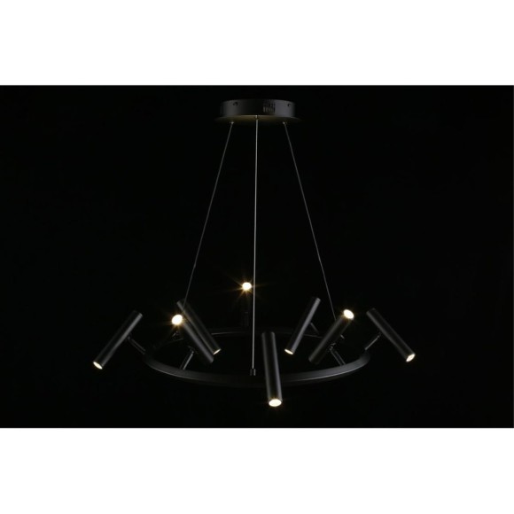 Подвесная светодиодная люстра Aployt Honor APL.067.03.40