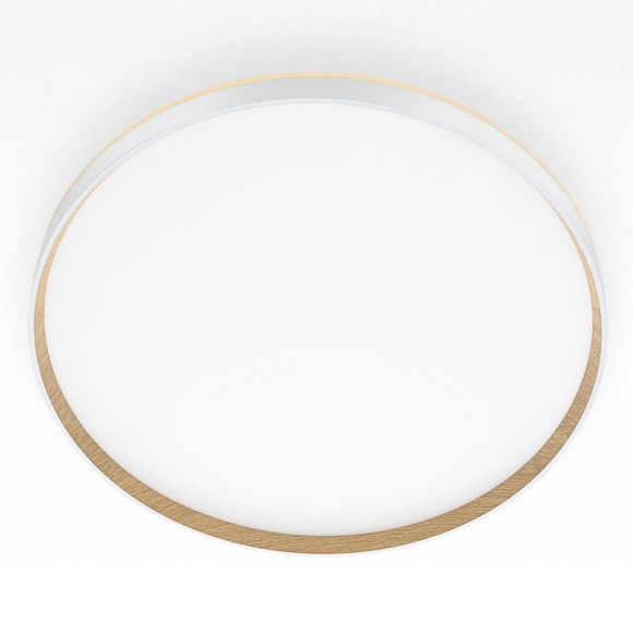 Потолочный светильник Citilux Etalon CL750500R