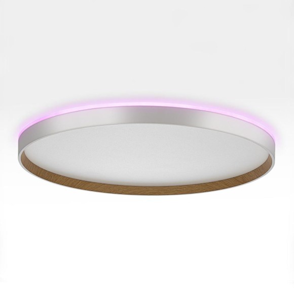 Потолочный светильник Citilux Etalon CL750500R