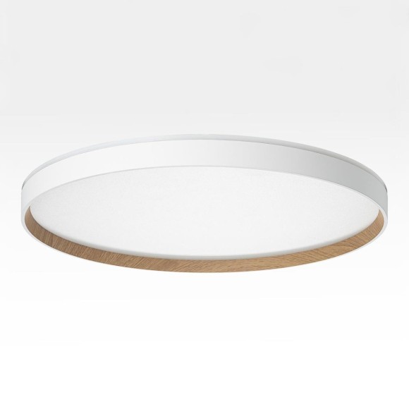 Потолочный светильник Citilux Etalon CL750500R