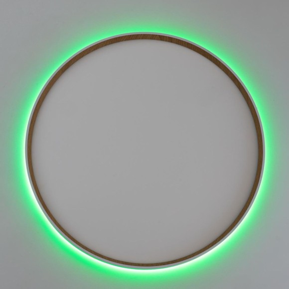 Потолочный светильник Citilux Etalon CL750500R