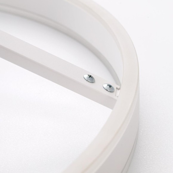 Потолочная светодиодная люстра с пультом управления Citilux Дуэт CL719760