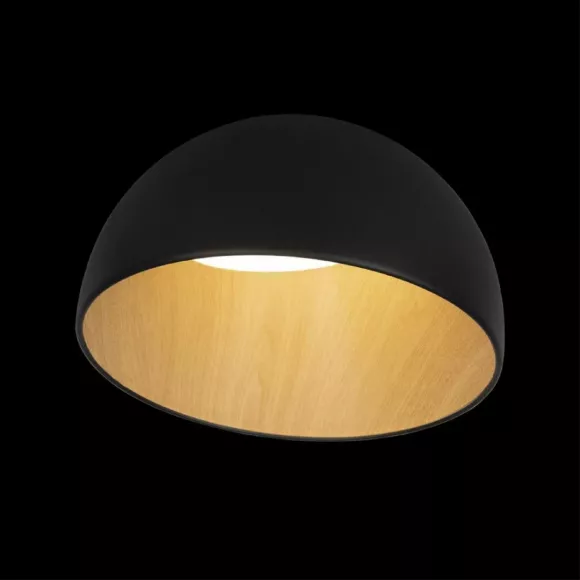 Потолочный светильник Loft IT Egg 10197/350 Black, Черный, Белый, Нейтральный белый