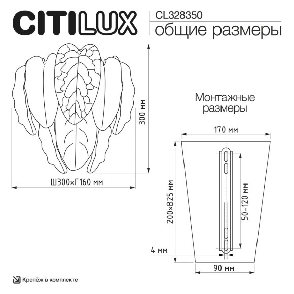 Настенный светильник Citilux Hasienda CL328350