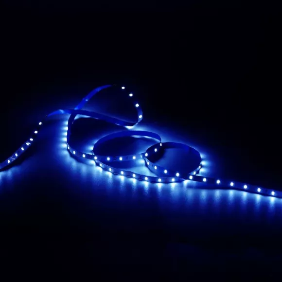 Светодиодная лента Gauss 4,8W/m 60LED/m 2835SMD синий 5M 355000505 Светодиодная лента Gauss 4,8W/m 60LED/m 2835SMD синий 5M 355000505