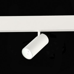 Трековый магнитный светильник ST Luce Skyline 48 ST375.506.07ZGB