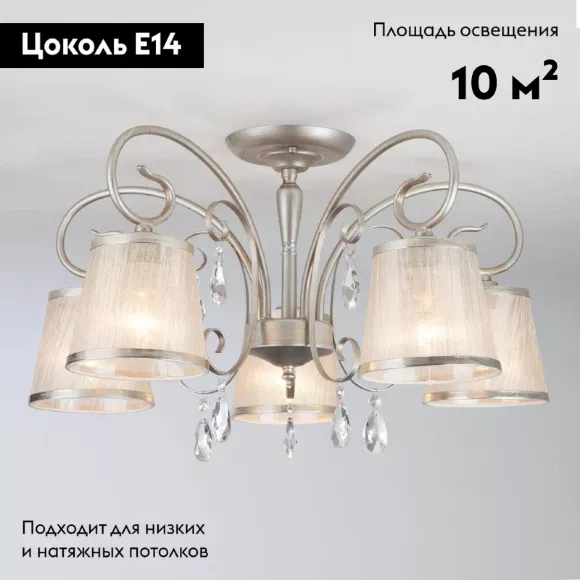 Потолочная люстра Eurosvet Liona 60065/5 серебро