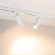 Трековый трехфазный светильник Arlight LGD-ARTEMIS-TRACK-4TR-R55-12W Warm2700 (WH, 8-80 deg, 230V) (IP20 Металл) 062275