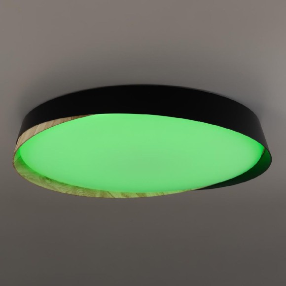 Потолочный светильник Citilux Bonny CL754451G