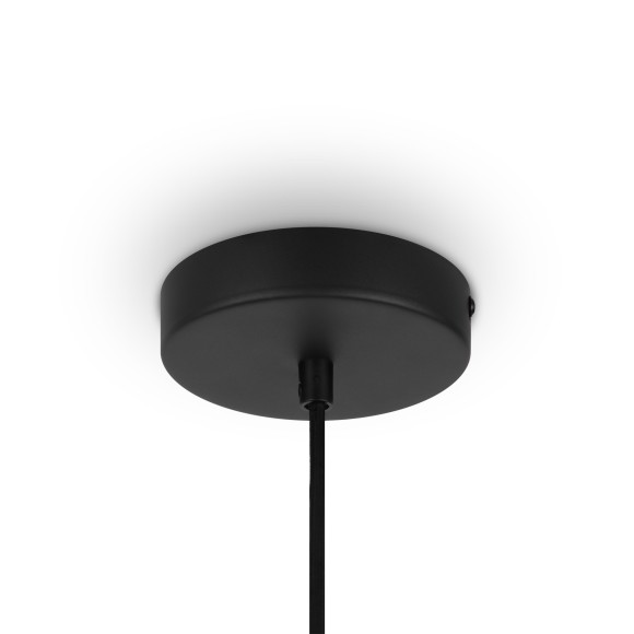 Подвесной светильник Maytoni Roots MOD194PL-01W