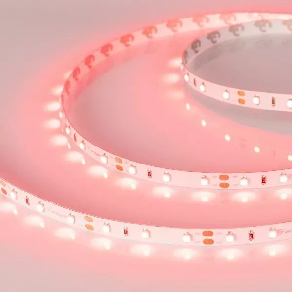 Светодиодная лента Arlight RT-A60-8mm 12V Red (4.8 W/m, IP20, 2835, 5m) 010526(2)