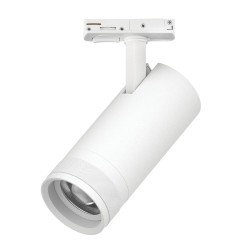 Трековый светильник для однофазного/трехфазного шинопровода Barra 20-55G с тонким адаптером Lightstar Canno Pro C4206SS
