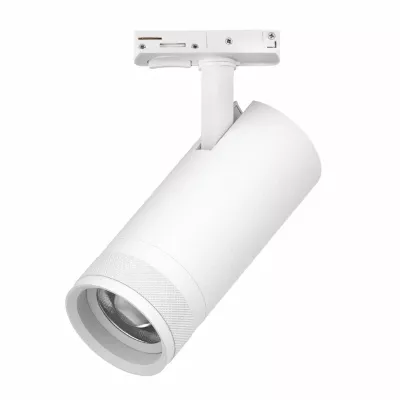 Трековый светильник для однофазного/трехфазного шинопровода Barra 20-55G с тонким адаптером Lightstar Canno Pro C4206SS