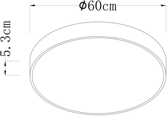 Потолочный светильник Arte Lamp Arena A2673PL-1BK