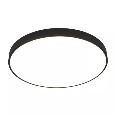 Потолочный светильник Arte Lamp Arena A2673PL-1BK