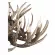 Подвесная люстра ST Luce Corna SL154.703.06