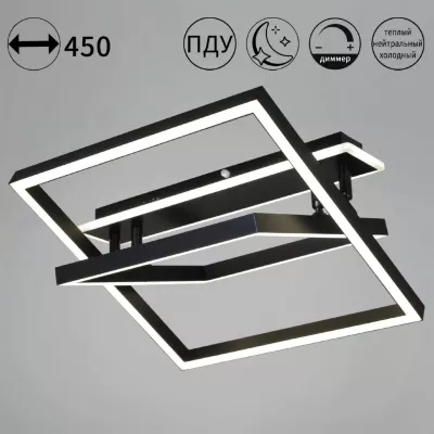 Потолочный светильник Reluce 19406-0.3-2+1L BK